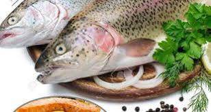 آسیب 60درصدی به تولید ماهی قزل آلا 